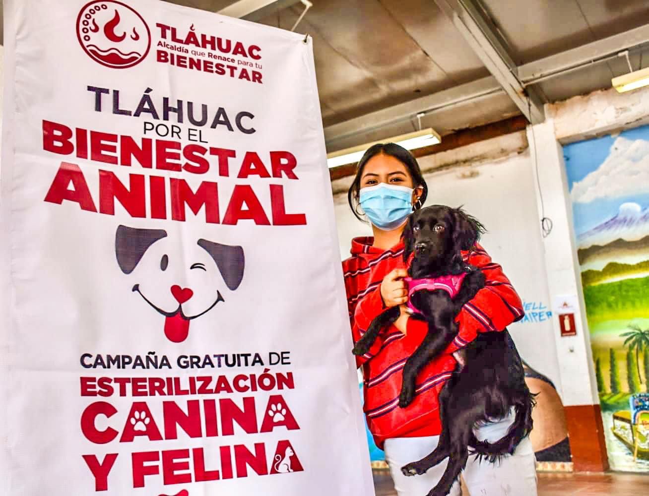 Tláhuac lleva campaña gratuita de esterilización para perros y gatos a San Andrés Mixquic