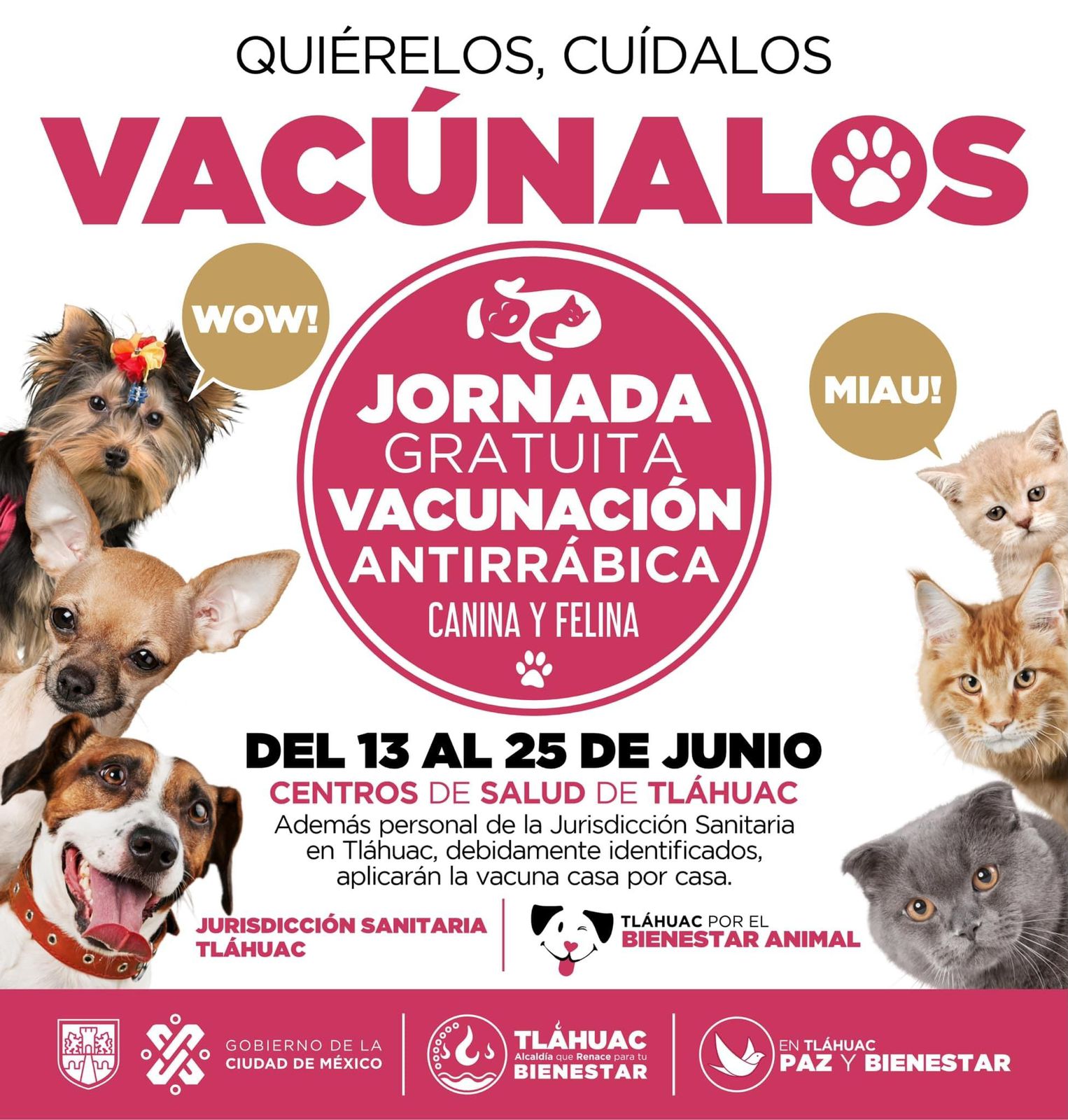 Alcaldía Tláhuac llama a la población a proteger a perros y gatos contra la rabia
