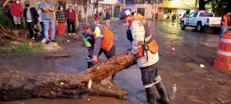 Sacmex Xochimilco