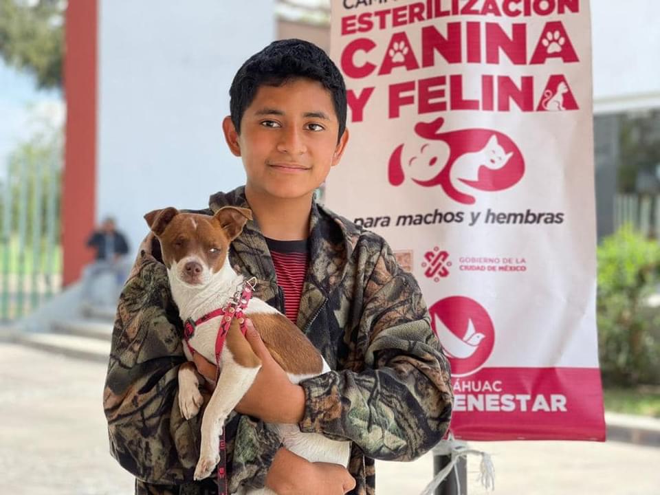 Inicia ‘Jornada de Esterilización Canina y Felina’ en Coordinación Territorial Miguel Hidalgo, Tláhuac