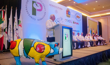 Producción Porcícola en México por su calidad crece en el Mercado Mundial