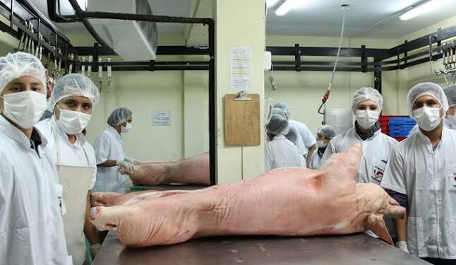 Canales de distribución de carne de cerdo en México son modelos para otros países