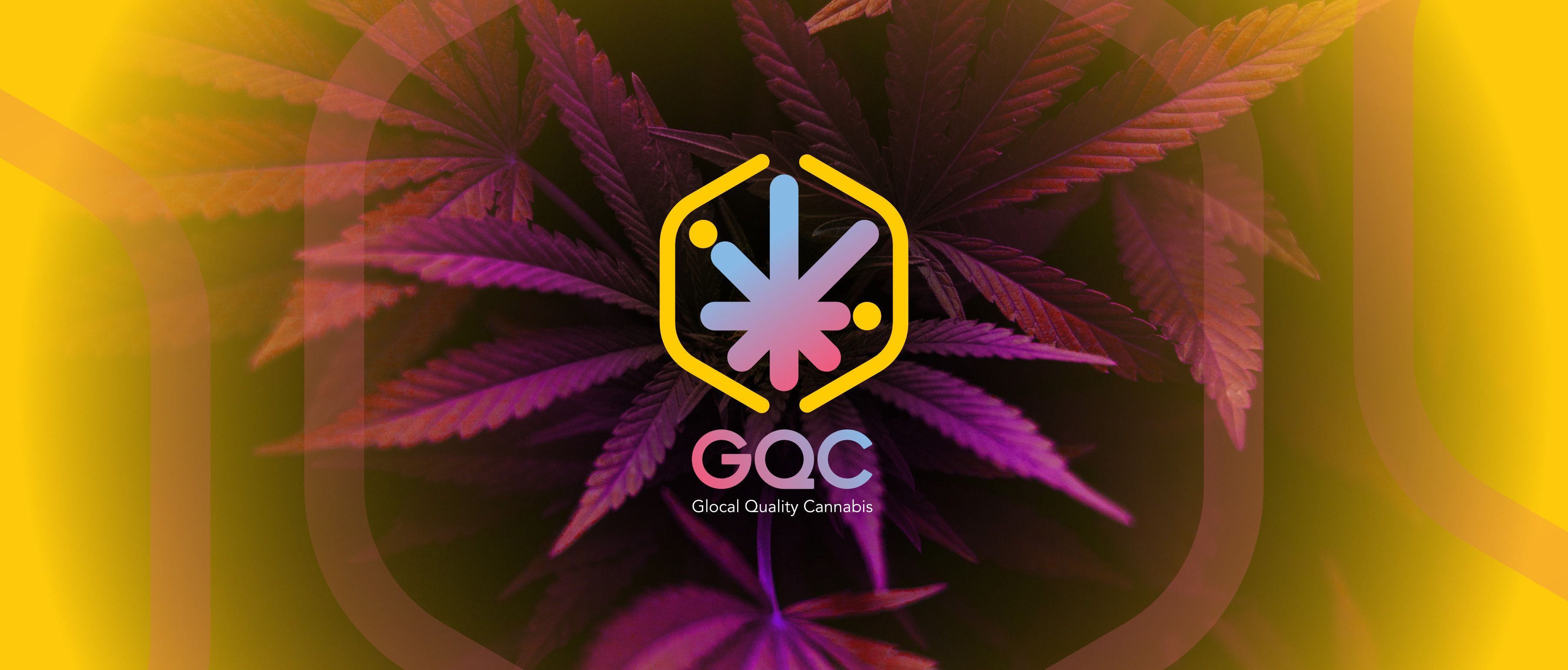 Nace GQC: la primera start-up, federada por PQE Group, para dar soporte al Cannabis Medicinal