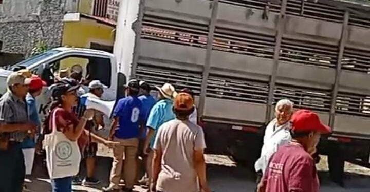 Secuestran pseudoambientalistas de Kanán a camión de cerdos con chofer en Sitilpech