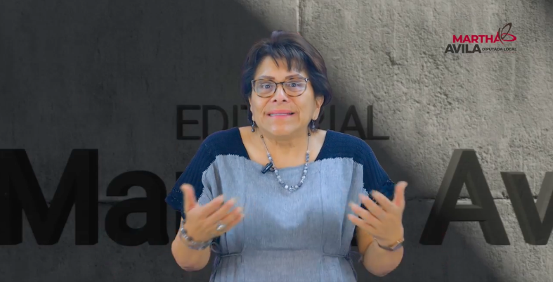 La Reforma Electoral no es un atentado contra la democracia: Martha Ávila