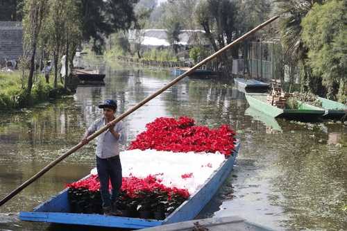 Impulsan rescate de chinamperos y limpieza de canales en Xochimilco 