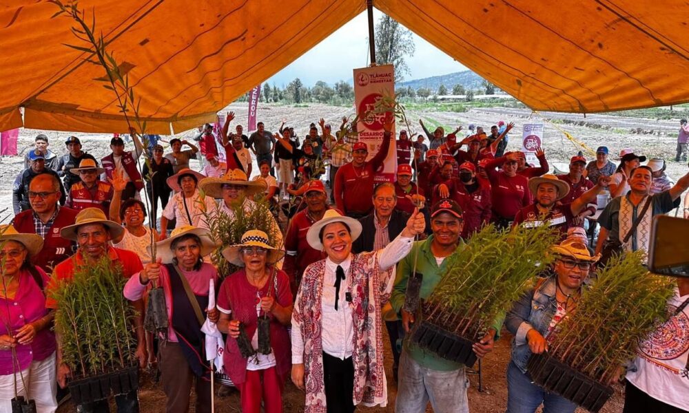 Tláhuac conmemora el Día del Árbol reforestando, la meta sembrar 200 mil
