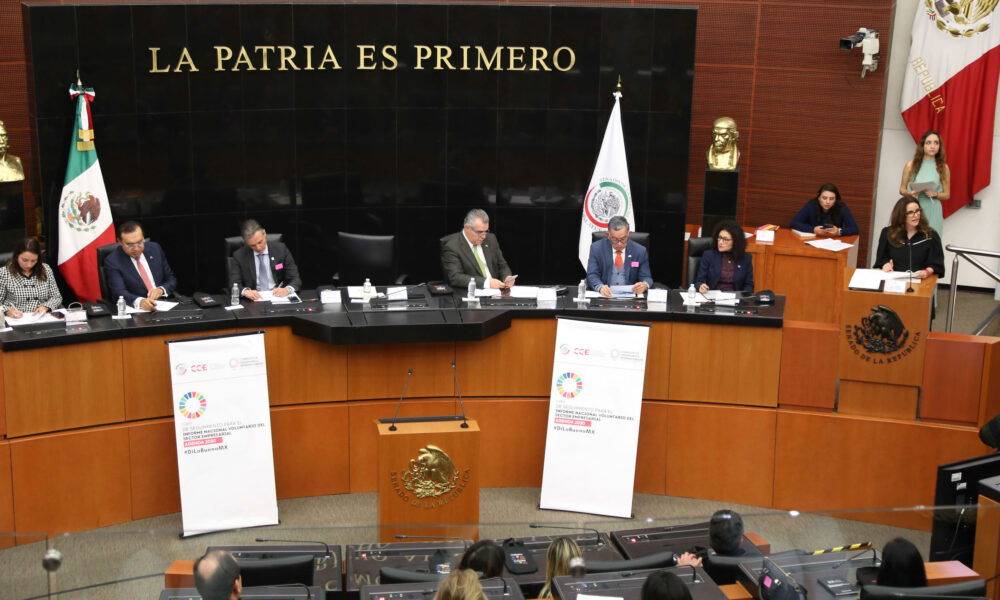 No habrá espacio para impugnar designación de nueva ministra, advierte Ana Lilia Rivera