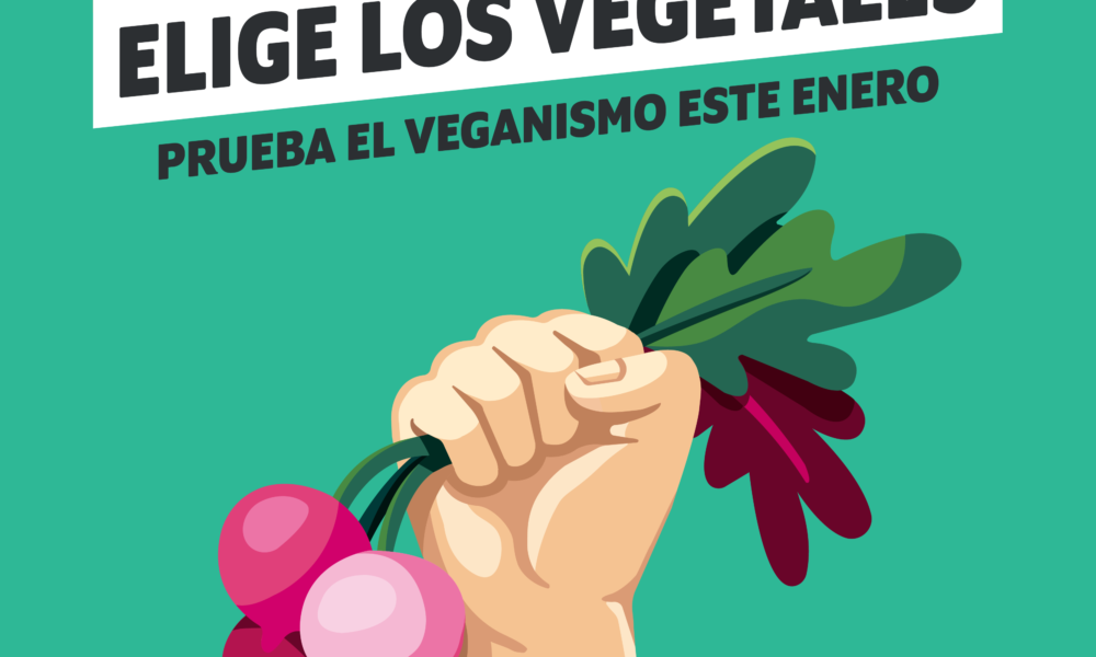 Comenzó Enero Vegano: campaña invita a las personas de México a probar la alimentación basada en plantas