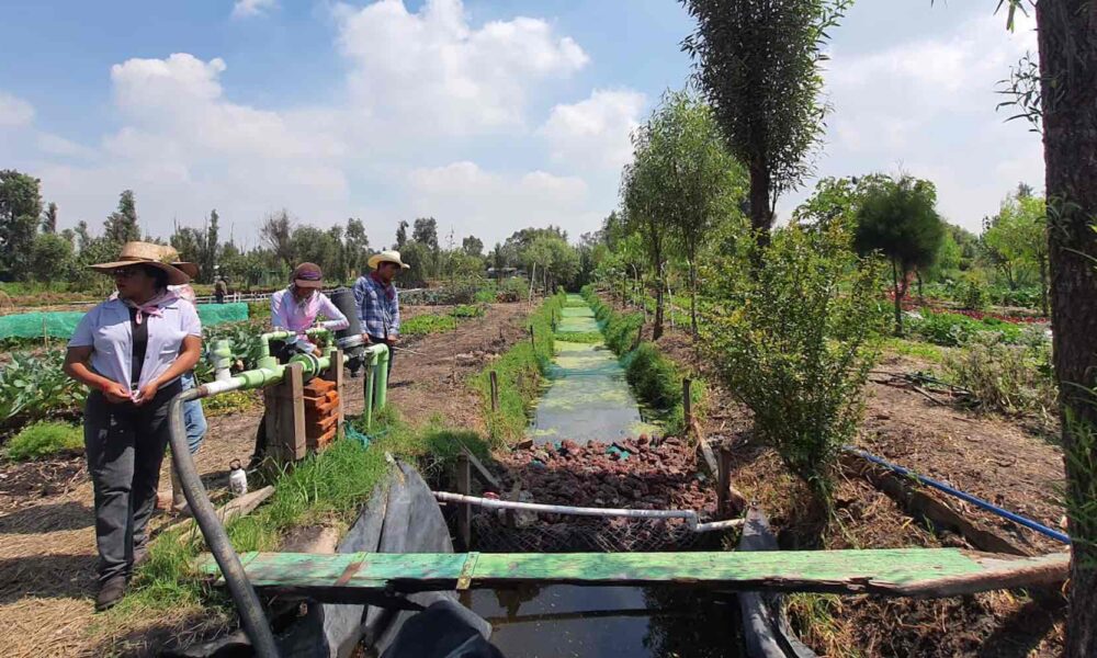 Xochimilco fomenta educación y cuidado del medio ambiente