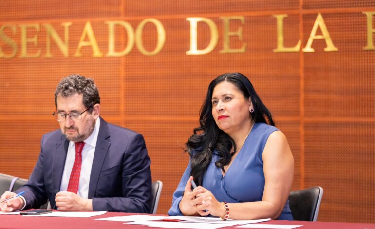 Ana Lilia Rivera expresa su beneplácito por suspensión de la "Ley SB4" en Texas