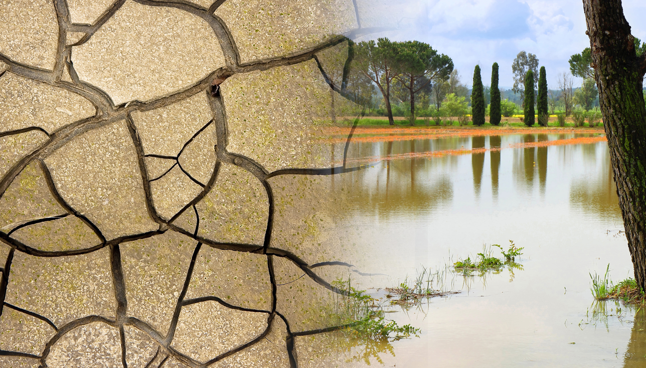 Veolia Water Technologies señala que “serían necesarios varios huracanes para aliviar escasez de agua”